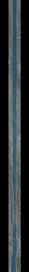 The straightened volume, with the nerve segmented in blue down its length